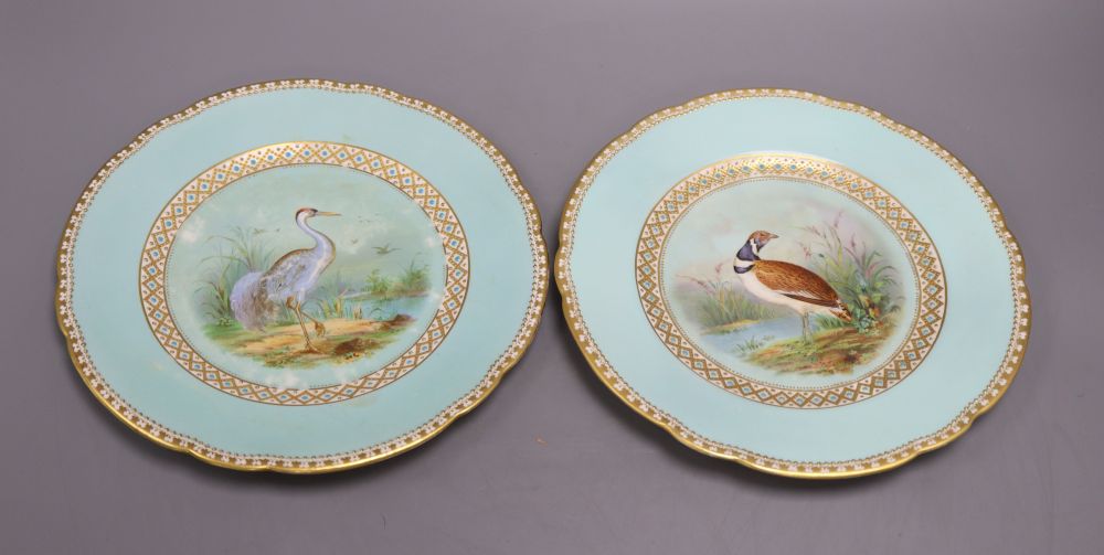 A quantity of R.G. Scrivener & Co Ornithological specimen plates